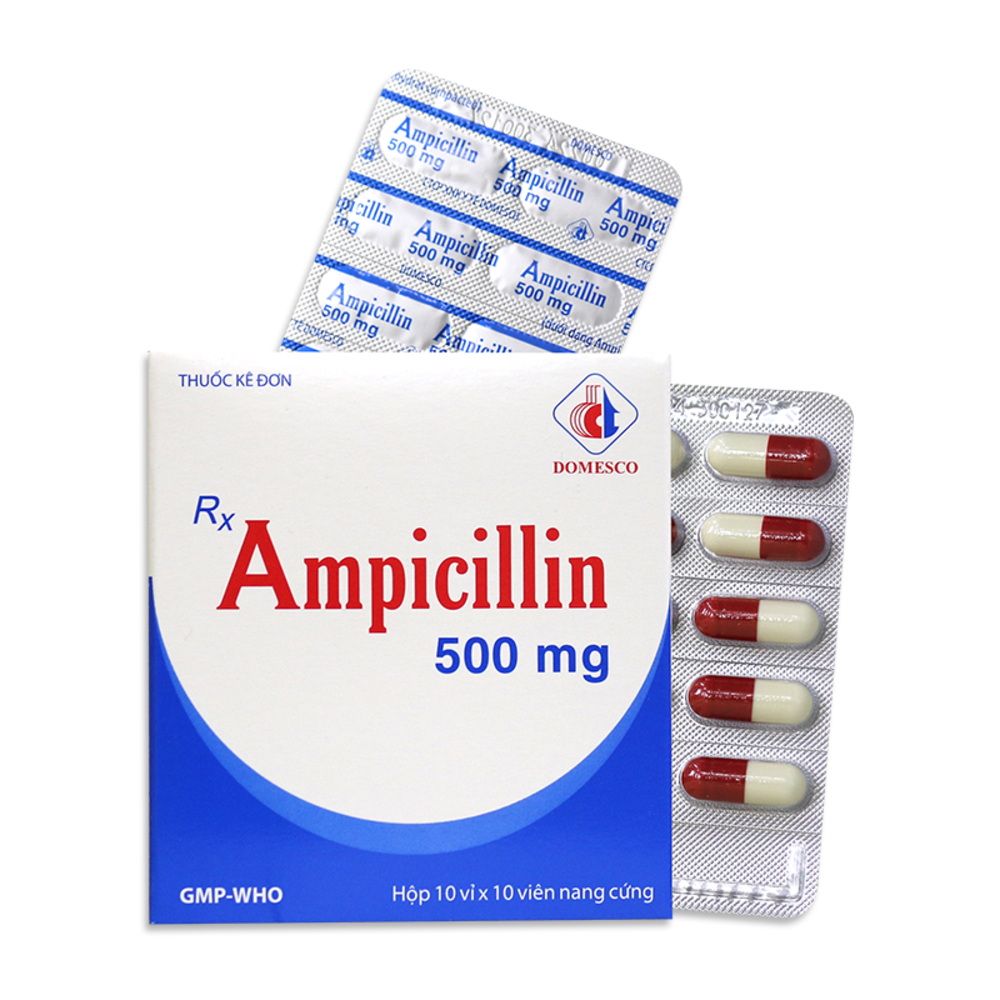 Ampicillin 500mg Domesco (H/100V)