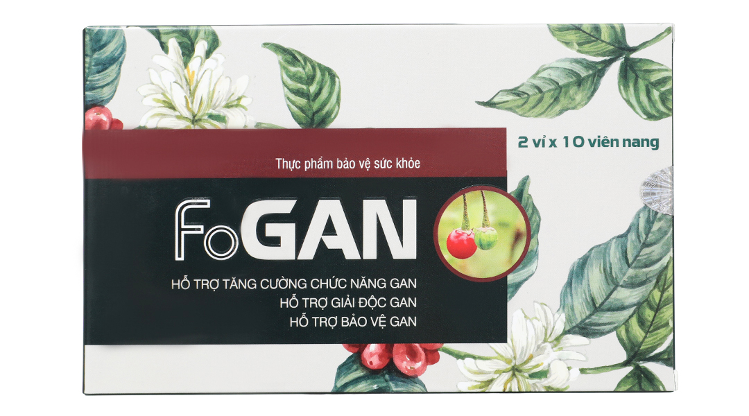 FoGAN (H/20v)