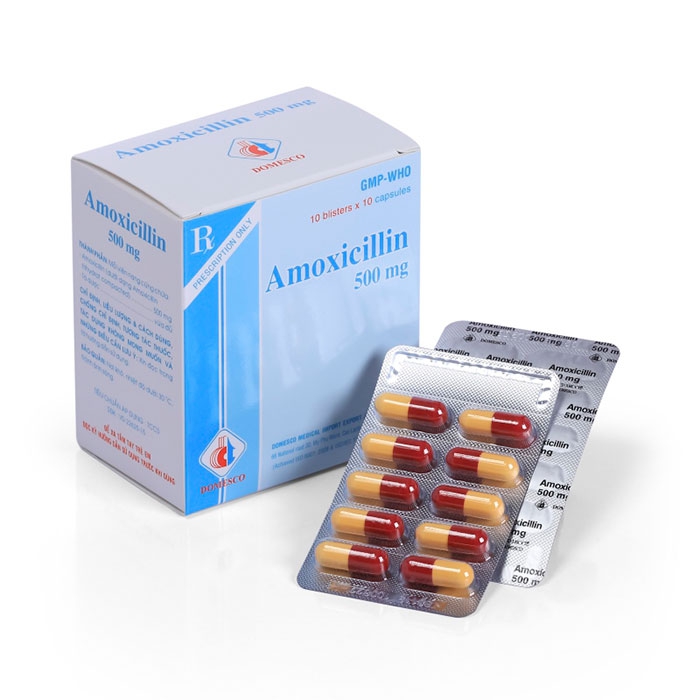 Amoxicillin 500mg Domesco H/100V
